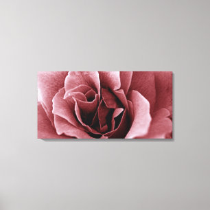 Nahaufnahme einer monochromen Rosenblüte Leinwanddruck