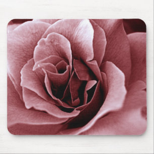 Nahaufnahme einer monochromen Rosenblüte Mousepad