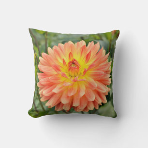 Nahaufnahme einer rosa und orangefarbenen Georgine Kissen