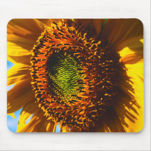 Nahaufnahme einer Sonnenblume Mousepad