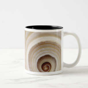 Nahaufnahme einer TierMuschel Zweifarbige Tasse