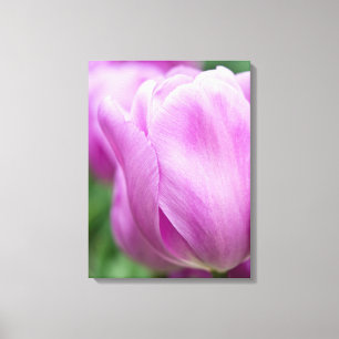Nahaufnahme einer Tulpe Leinwanddruck