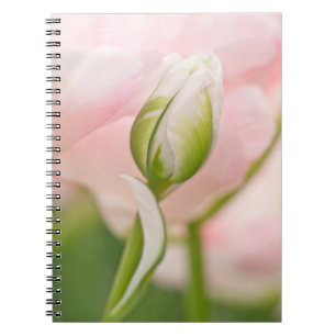 Nahaufnahme einer Tulpe und einer Knospe Notizblock