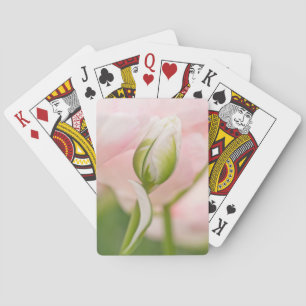 Nahaufnahme einer Tulpe und einer Knospe Spielkarten