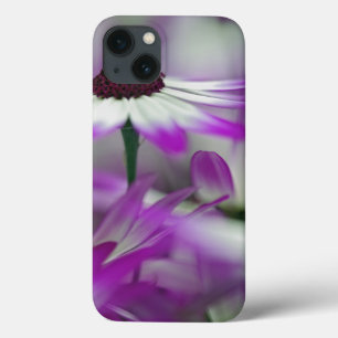 Nahaufnahme einer violetten Blume, Keukenhof-Garte title_seo2