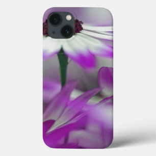 Nahaufnahme einer violetten Blume, Keukenhof-Garte title_seo2