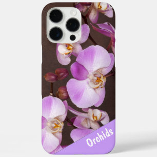 Nahaufnahme einer violetten und weißen Orchidee title_seo2