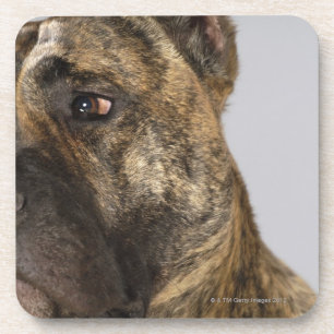 Nahaufnahme eines Boxers Untersetzer