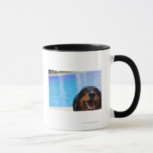 Nahaufnahme eines Dackelhundekeuchens Tasse