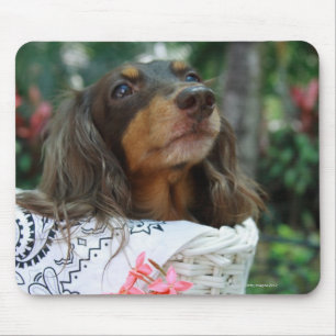 Nahaufnahme eines Dackelhundes, der in einem Korb Mousepad