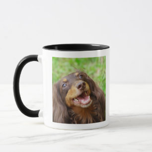 Nahaufnahme eines Dackelhundes Tasse