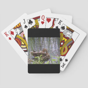 Nahaufnahme eines Entenfotos Spielkarten