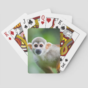 Nahaufnahme eines gemeinen Eichhörnchen-Affen Spielkarten