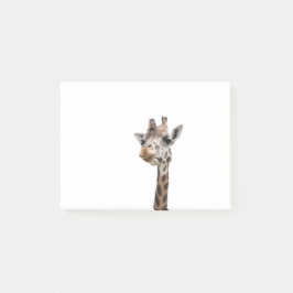 Nahaufnahme eines herrlichen Giraffengesichtes Post-it Klebezettel