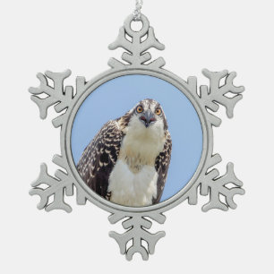 Nahaufnahme eines jungen Fischadlers Schneeflocken Zinn-Ornament