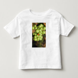 Nahaufnahme eines Marienkäfers auf grünen Pinot No Kleinkind T-shirt