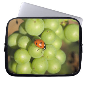 Nahaufnahme eines Marienkäfers auf grünen Pinot No Laptopschutzhülle