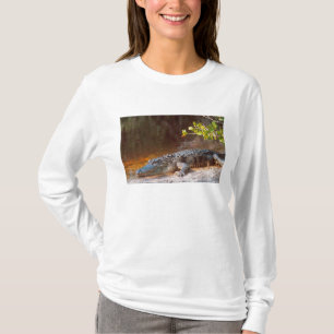 Nahaufnahme eines Mississippi-Alligators im J.N. T-Shirt