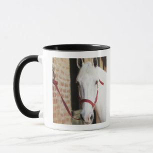 Nahaufnahme eines Pferds 2 Tasse
