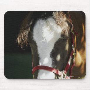 Nahaufnahme eines Pferds Mousepad