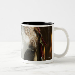 Nahaufnahme eines Pferds Zweifarbige Tasse