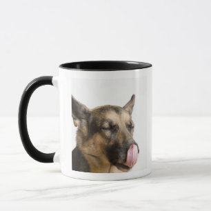 Nahaufnahme eines Schäferhunds, der seine Nase Tasse