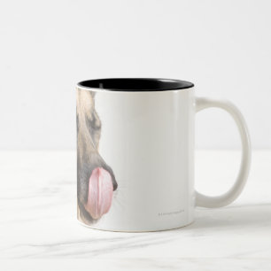 Nahaufnahme eines Schäferhunds, der seine Nase Zweifarbige Tasse