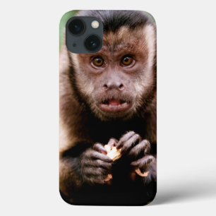 Nahaufnahme eines schwarz-mit einer Kappe Case-Mate iPhone Hülle
