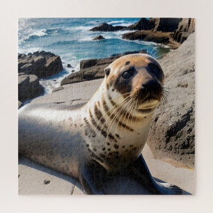 Nahaufnahme eines Seehunds