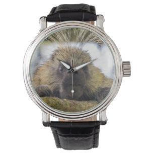 Nahaufnahme eines Stachelschweins in einem Baum Armbanduhr