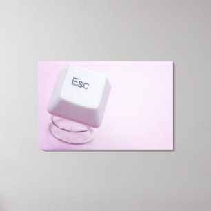 Nahaufnahme eines Taste ESC Leinwanddruck