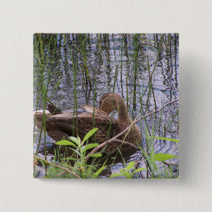 Nahaufnahme-Foto einer Ente Button