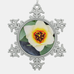 Nahaufnahme Foto von Frühlings-Tulpe Schneeflocken Zinn-Ornament