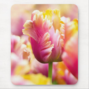 Nahaufnahme-Tulpen Mousepad