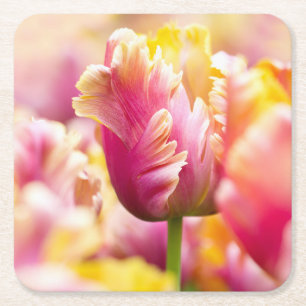 Nahaufnahme-Tulpen Rechteckiger Pappuntersetzer