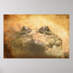 Nahaufnahme von Crocodylus Moreletii Poster