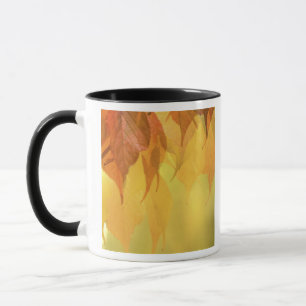 Nahaufnahme von Herbstlaub an einem Ast Tasse
