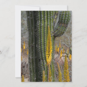 Nahaufnahme von Kaktus und Agave Dankeskarte