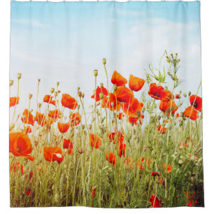 Nahaufnahme von Mohnblumen auf dem Feld. Wilde Blu Duschvorhang