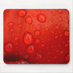 Nahaufnahme von Regentropfen auf Tulpenblatt Mousepad