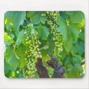 Nahaufnahme von reifenden Trauben Mousepad