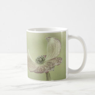 Nahaufnahme von rosa Dogwood-Blüten Seabeck, WA Kaffeetasse