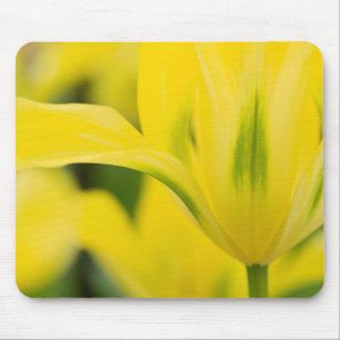 Nahaufnahme von Tulpe 2 Mousepad