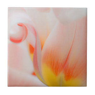 Nahaufnahme von Tulpe 3 Fliese