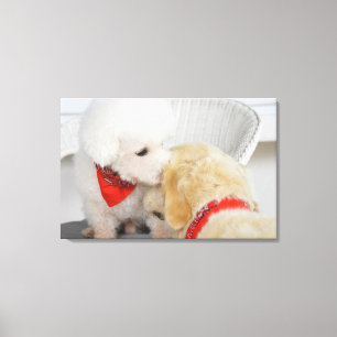 Nahaufnahme von zwei Hunden Leinwanddruck