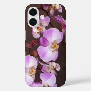 Nahaufnahmefoto von violetter und weißer Orchidee iPhone 16 Hülle