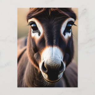 Nahaufnahmeporträt eines neugierigen Esels Postkarte