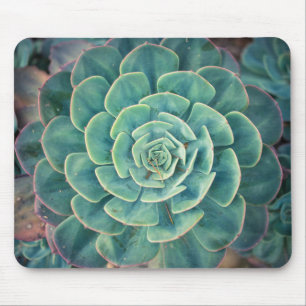 NahaufnahmeSucculent Mousepad