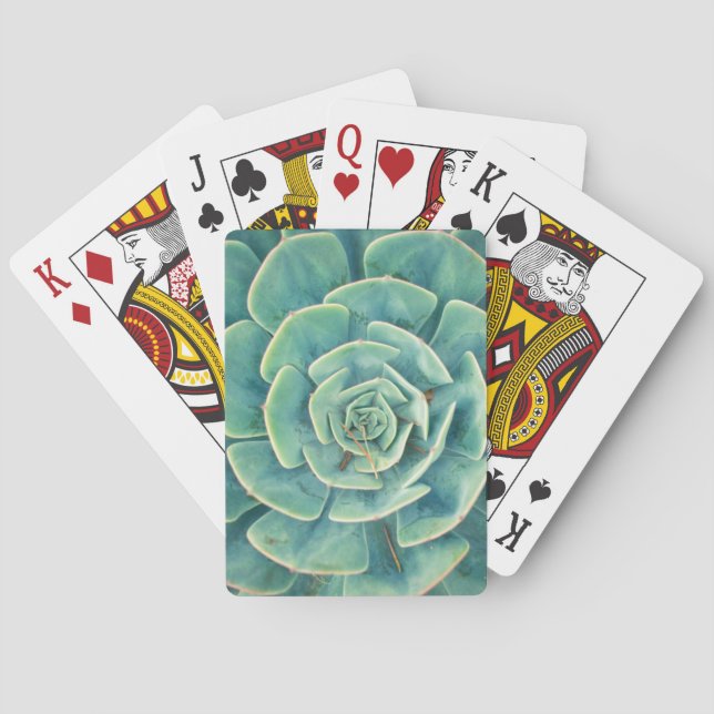 NahaufnahmeSucculent Spielkarten (Rückseite)