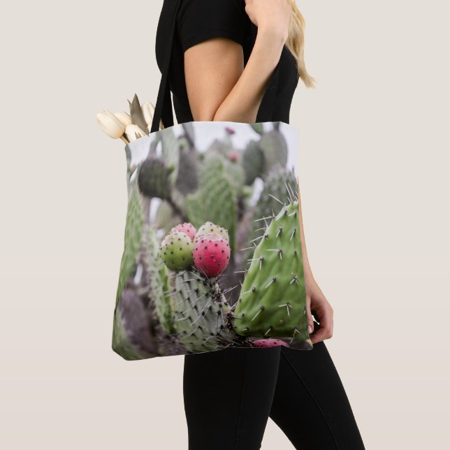 Nahe Ansammlung von Kakteen Tasche (Von Nahem)